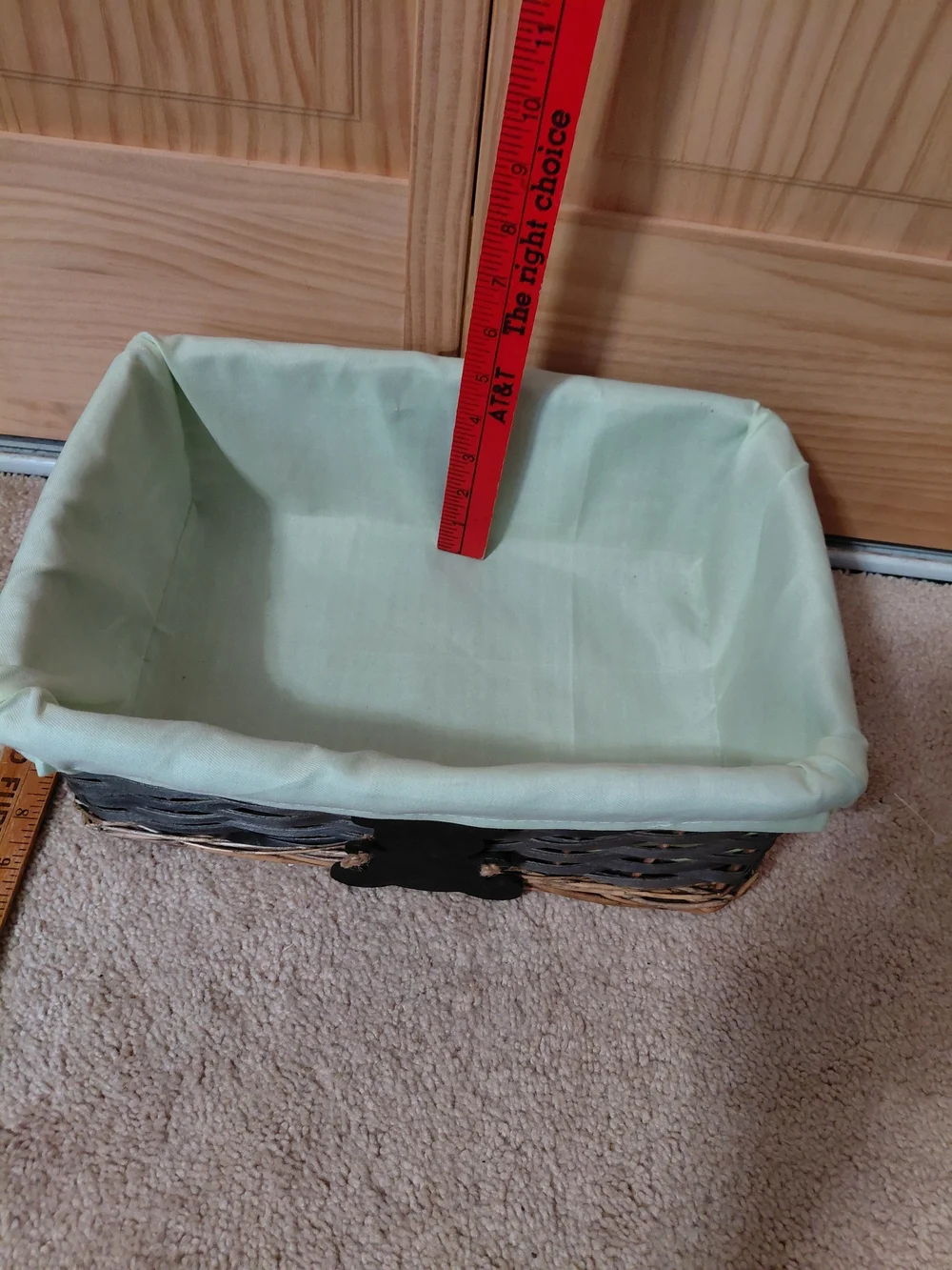 Woven Accent Basket with Mint Liner